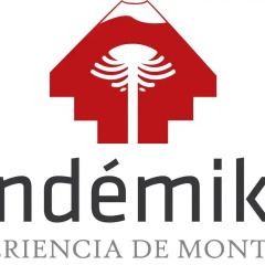 Отель Endemiko спа