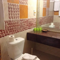 Roman Boutique Hotel 3* Стандартный номер с различными типами кроватей фото 3