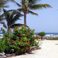 Отель Reef Point Beach House пляж