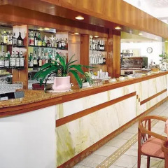 Hotel Mimosa Риччоне гостиничный бар