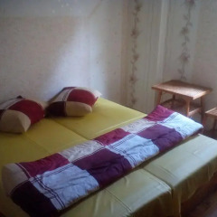 Hostel Alex Стандартный номер с двуспальной кроватью (общая ванная комната)