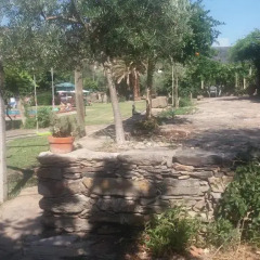 Отель Casa dos Araújos фото 4