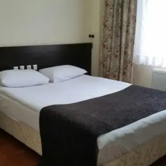 Ilgaz Armar Hotel 2* Стандартный семейный номер с двуспальной кроватью фото 3