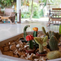 Отель Lanta Miami Resort 3* Улучшенное бунгало