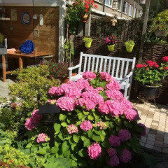 Отель Bed and Breakfast Ineke en John Нидерланды, Хофддорп - отзывы, цены и фото номеров - забронировать отель Bed and Breakfast Ineke en John онлайн фото 4