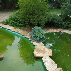 Отель Il Drago Azienda Turistica Rurale Италия, Айдоне - отзывы, цены и фото номеров - забронировать отель Il Drago Azienda Turistica Rurale онлайн бассейн фото 3