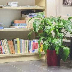 Отель Academic Hostel Эстония, Таллин - отзывы, цены и фото номеров - забронировать отель Academic Hostel онлайн развлечения