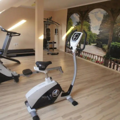 Отель Villa Ramzes фитнесс-зал фото 2