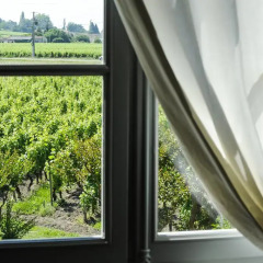 Отель Château Franc Grâce-Dieu Франция, Сент-Эмильон - отзывы, цены и фото номеров - забронировать отель Château Franc Grâce-Dieu онлайн балкон