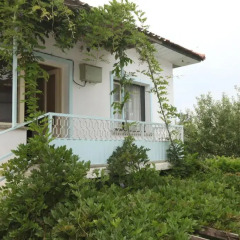 Отель Wisteria Guest House
