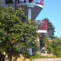 Отель Sunny Beach Holiday Villa Kaliva Солнечный берег приотельная территория фото 2