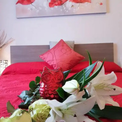 Отель Lenotti Italiane
