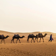 Отель Caravanserai Luxury Desert Camp Марокко, Мерзуга - отзывы, цены и фото номеров - забронировать отель Caravanserai Luxury Desert Camp онлайн фитнесс-зал фото 2