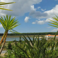 Comporta Village Hotel Apartamento