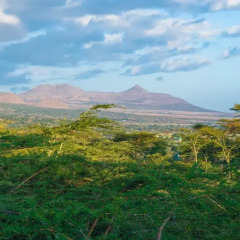 Отель Nature Homes - Africa Amini Life фото 10
