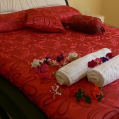 Hotel Garden в номере