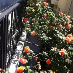 Mashuk Hotel 2* Студия с различными типами кроватей фото 26