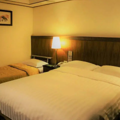 King Shi Hotel 3* Номер Делюкс с различными типами кроватей фото 2