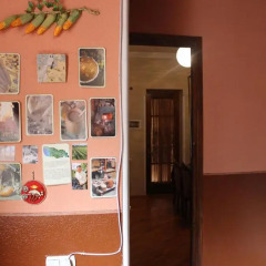 Отель Corner Hostel Грузия, Тбилиси - отзывы, цены и фото номеров - забронировать отель Corner Hostel онлайн развлечения