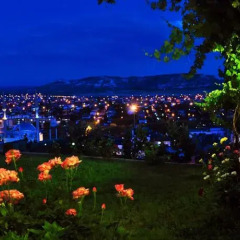Duru Hotel Аванос помещение для мероприятий фото 2