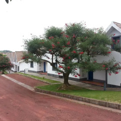 Отель Apartamentos Turísticos Nossa Senhora da Estrela