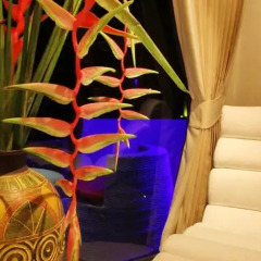 Отель Beluga Boutique Hotel Таиланд, Самуи - отзывы, цены и фото номеров - забронировать отель Beluga Boutique Hotel онлайн развлечения