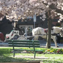 Отель James Bay Inn Hotel, Suites & Cottage Канада, Виктория - отзывы, цены и фото номеров - забронировать отель James Bay Inn Hotel, Suites & Cottage онлайн парковка