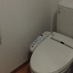 Отель Minshuku Nakaya Хакуба удобства в номере фото 2