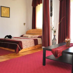Отель Family Buda Apartment Венгрия, Будапешт - отзывы, цены и фото номеров - забронировать отель Family Buda Apartment онлайн удобства в номере фото 2