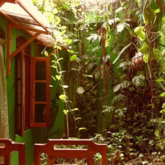 Отель Linda Cottage 3* Апартаменты с различными типами кроватей фото 10