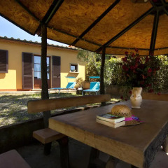Отель Agriturismo Cerroni Montescudaio Монтескудаио фото 6