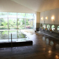 Hotel Ohruri Nasu Shiobara Насусиобара бассейн фото 2
