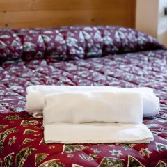 Отель Albergo Riglarhaus Италия, Саурис - отзывы, цены и фото номеров - забронировать отель Albergo Riglarhaus онлайн комната для гостей фото 3