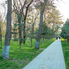 Гостиница Мишель фото 3