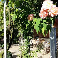 Отель La Casa Di Linda Bed and Breakfast Италия, Мирано - отзывы, цены и фото номеров - забронировать отель La Casa Di Linda Bed and Breakfast онлайн фото 18