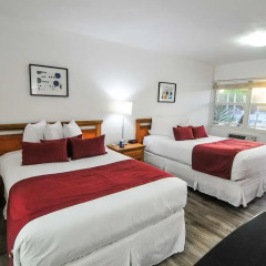 Отель Regency Inn & Suites 2* Стандартный номер с различными типами кроватей фото 5