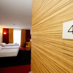Hotel Senator 4* Стандартный номер с разными типами кроватей