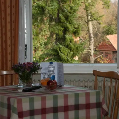 Hotel Zur Altenburg комната для гостей