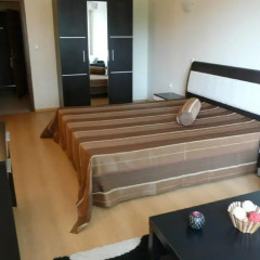 Sunrise Hotel 4* Стандартный номер с различными типами кроватей