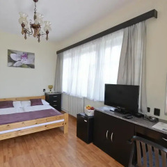 Budai Hotel 3* Стандартный номер с двуспальной кроватью фото 6