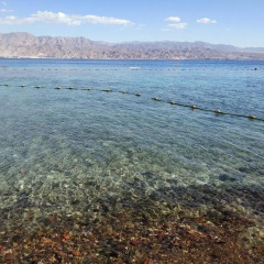 Orchid Hotel Eilat пляж