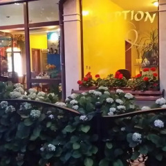 Hotel Continental - Half Board развлечения