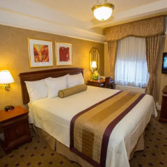 Wellington Hotel 3* Стандартный номер с различными типами кроватей фото 7