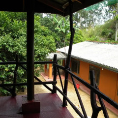 Отель Aelam Home Stay Cabana Номер Делюкс с различными типами кроватей фото 16