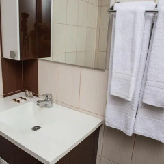 Отель Topalovi Guest House Болгария, Ардино - отзывы, цены и фото номеров - забронировать отель Topalovi Guest House онлайн ванная
