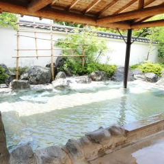 Nanpeidai Onsen Hotel Насусиобара бассейн фото 2