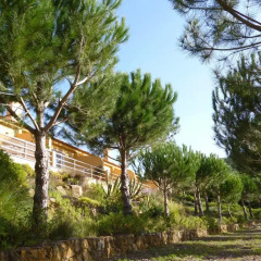 Отель Quinta Raposeiros 3* Апартаменты разные типы кроватей фото 3