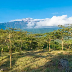 Отель Nature Homes - Africa Amini Life фото 5