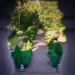 Отель Renesans фото 4