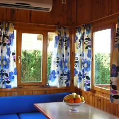 Отель Camping La Rosaleda Испания, Кониль-де-ла-Фронтера - отзывы, цены и фото номеров - забронировать отель Camping La Rosaleda онлайн развлечения